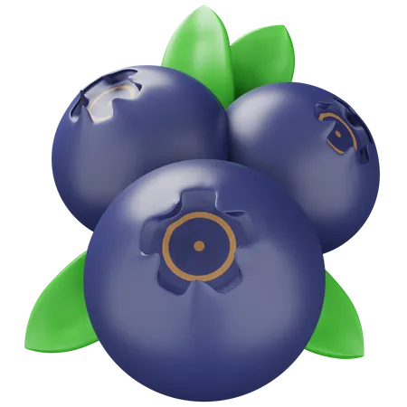 Blueberry  3D Icon