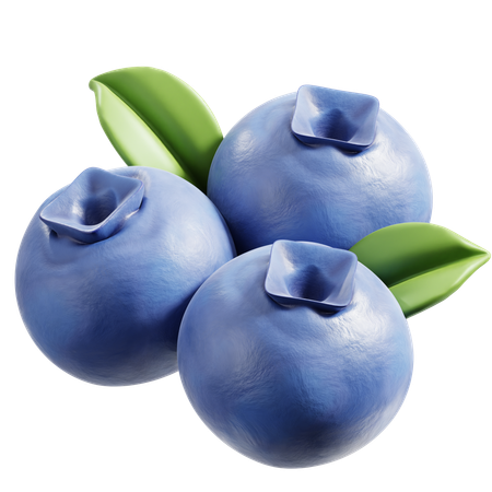 Blueberry  3D Icon