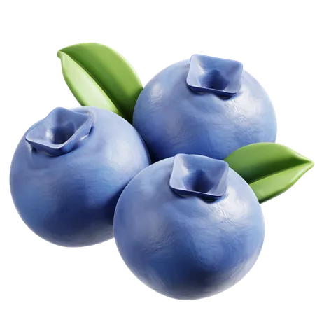 Blueberry  3D Icon