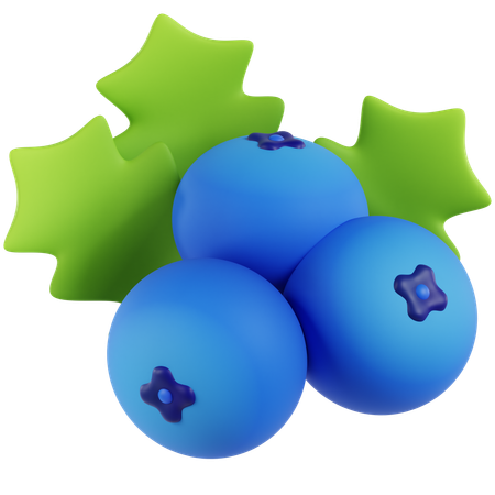 Blueberry  3D Icon