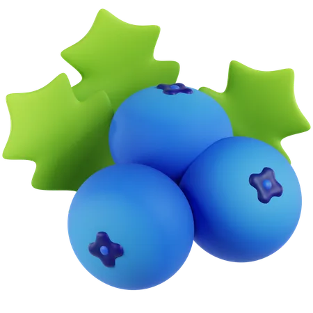 Blueberry  3D Icon