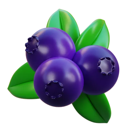 Blueberry  3D Icon