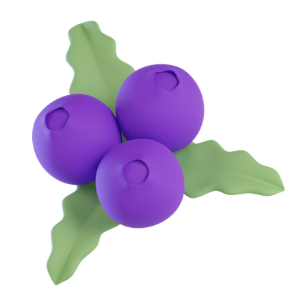 Blueberry  3D Icon