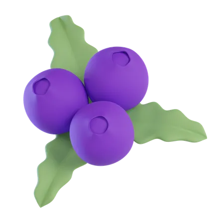 Blueberry  3D Icon