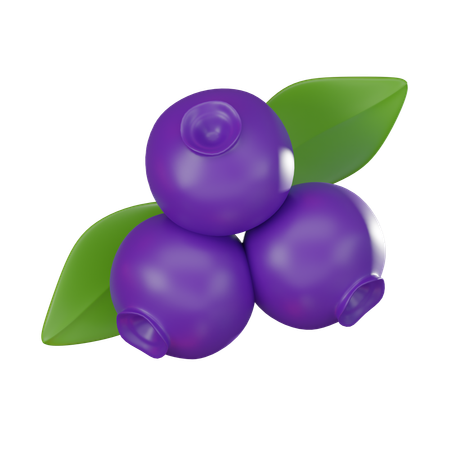 Blueberry  3D Icon