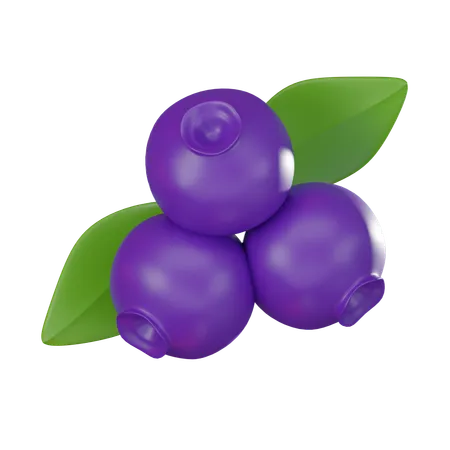 Blueberry  3D Icon