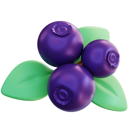 Blueberry  3D Icon