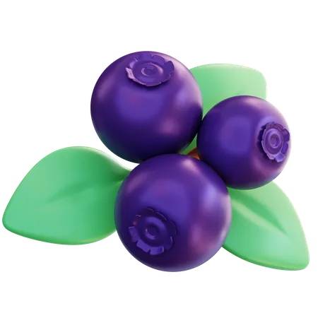 Blueberry  3D Icon