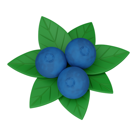 Blueberry  3D Icon