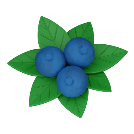 Blueberry  3D Icon