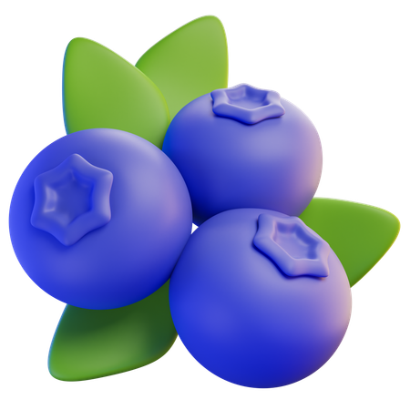 Blueberry  3D Icon