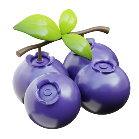 Blueberry  3D Icon