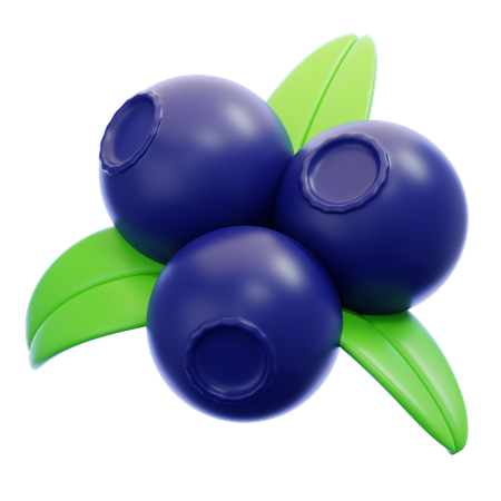 Blueberry  3D Icon