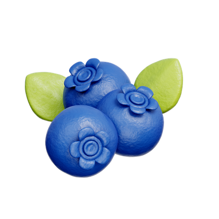 Blueberry  3D Icon