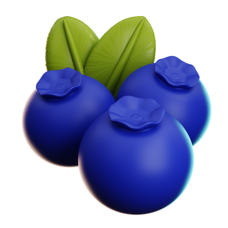 Blueberry  3D Icon