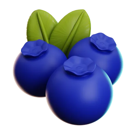 Blueberry  3D Icon