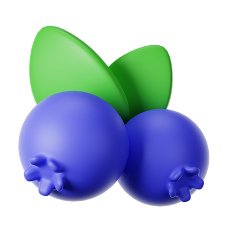 Blueberry  3D Icon