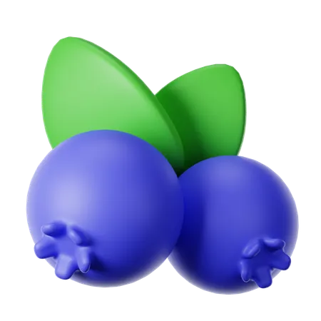 Blueberry  3D Icon