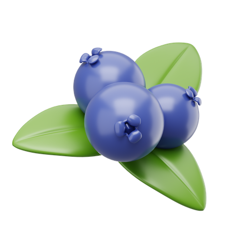 Blueberry  3D Icon