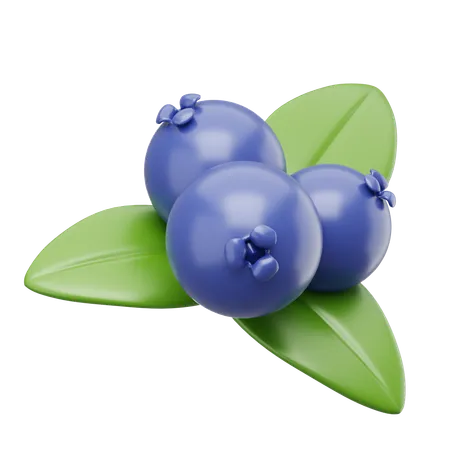 Blueberry  3D Icon