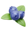 Blueberry