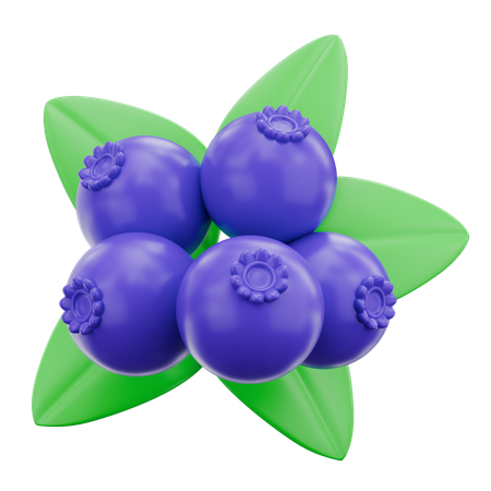 Blueberry  3D Icon