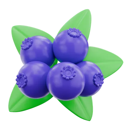 Blueberry  3D Icon