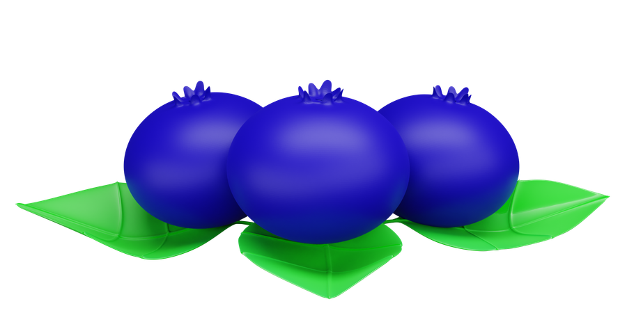 Blueberry  3D Icon