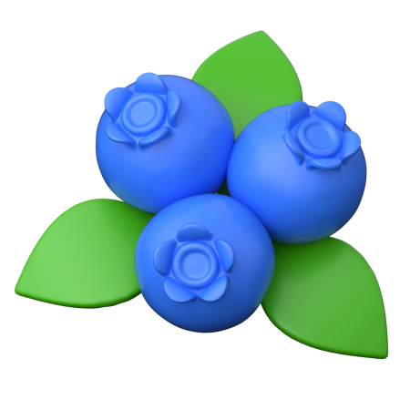 Blueberry  3D Icon