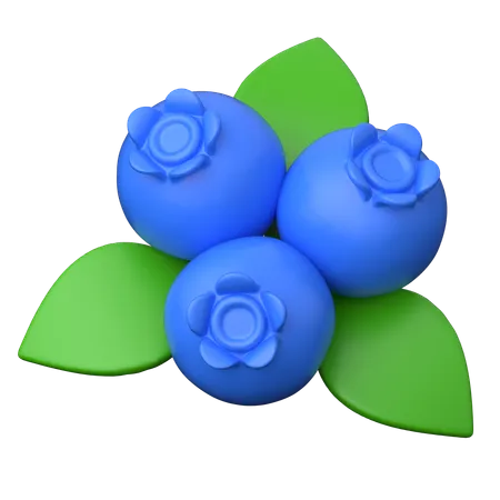 Blueberry  3D Icon