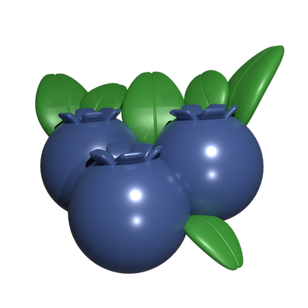 Blueberry  3D Icon