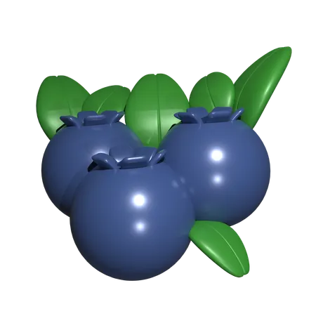 Blueberry  3D Icon