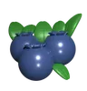 Blueberry