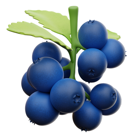 Blueberry  3D Icon