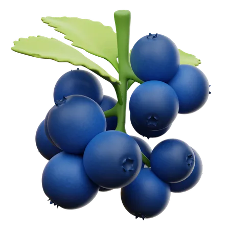 Blueberry  3D Icon