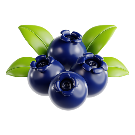 Blueberry  3D Icon