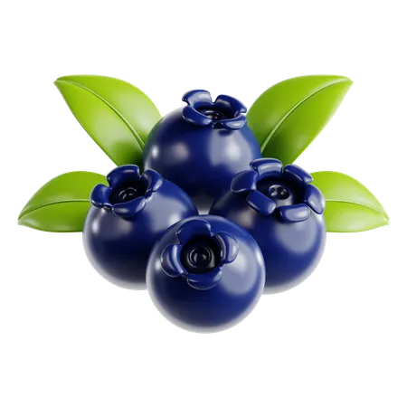 Blueberry  3D Icon