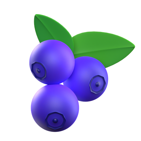 Blueberry  3D Icon