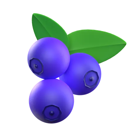 Blueberry  3D Icon