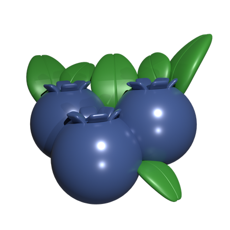 Blueberry  3D Icon