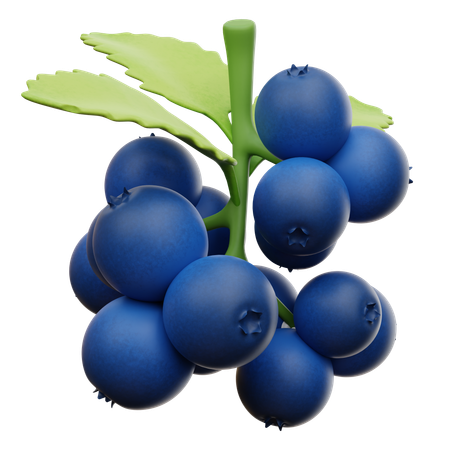 Blueberry  3D Icon