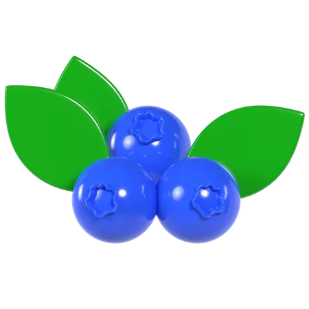 Blueberry  3D Illustration