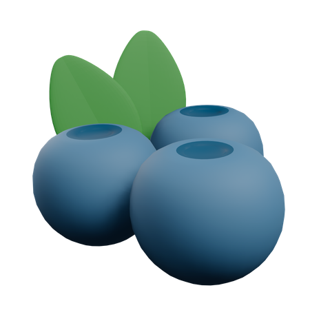 Blueberry  3D Illustration