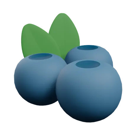 Blueberry  3D Illustration