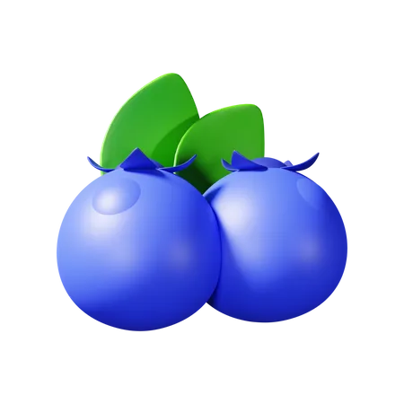 Blueberry  3D Illustration