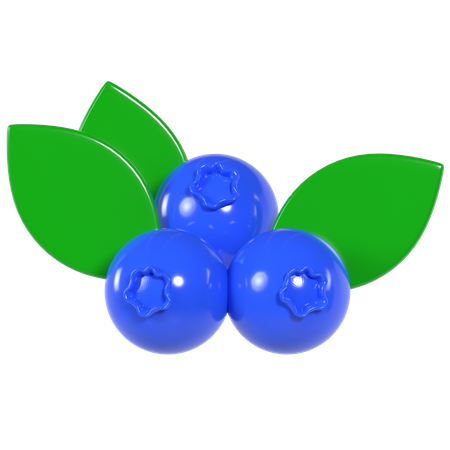 Blueberry  3D Illustration