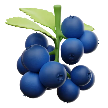 Blueberry 3D Illustration