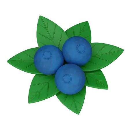 Blueberry 3D Icon