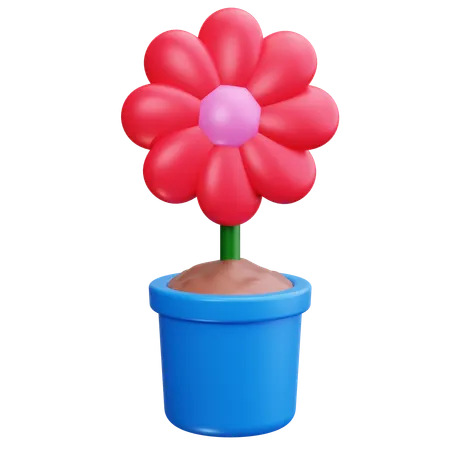 Blume  3D Icon