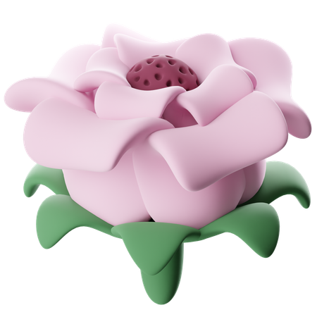 Blume  3D Icon